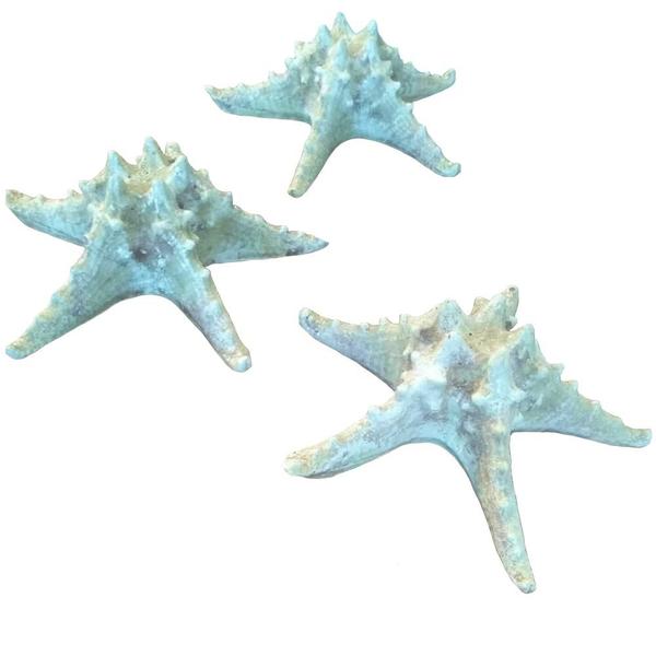 Imagem de Trio Estrela do Mar Enfeite Decoração Casa de Praia em Resina 18cm