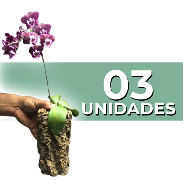 Imagem de Tronco para Orquídeas, oco KIT COM 4 UNIDADES