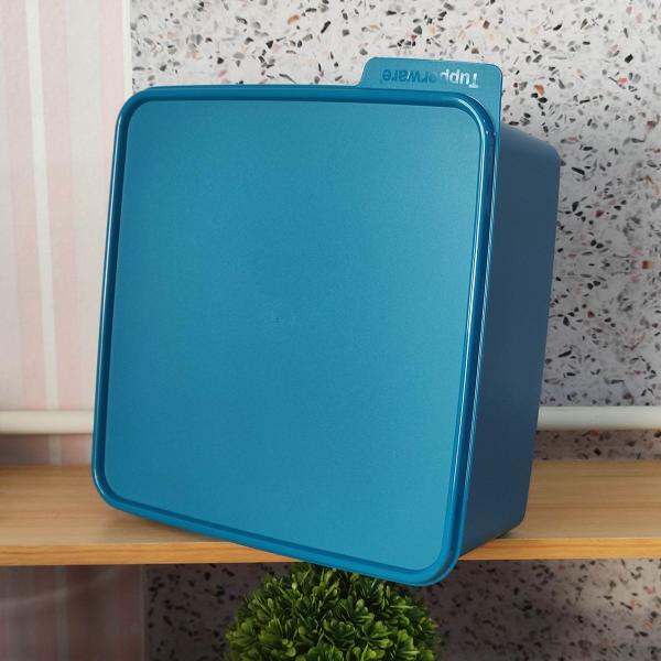 Imagem de Tupperware Basic Line 5 Litros Pote Conservar na Geladeira