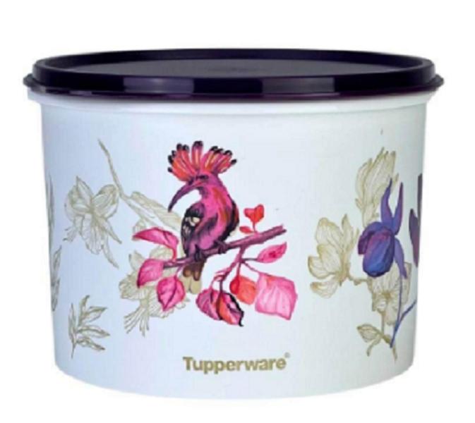 Imagem de Tupperware Caixa Botânica Aquarela 2,4 Litros