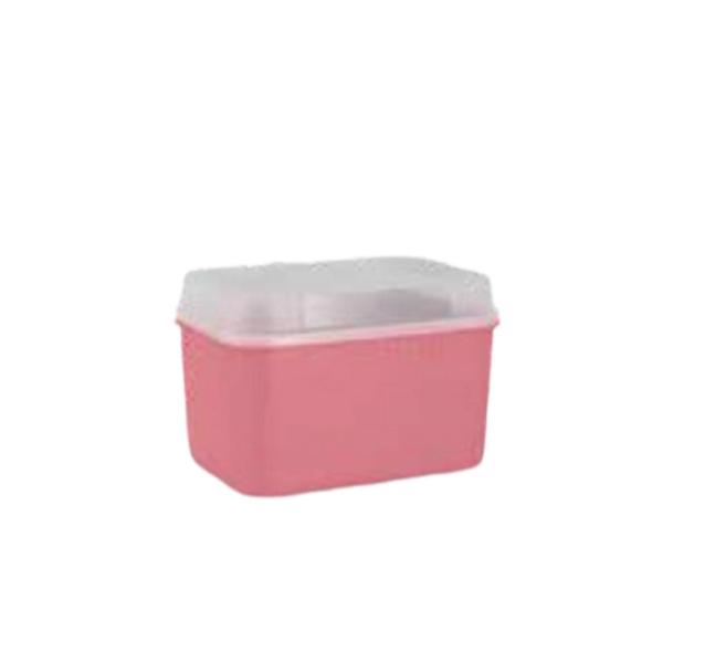 Imagem de Tupperware Caixa Visual Box 4,5L