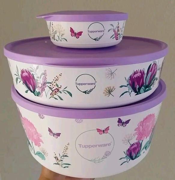 Imagem de Tupperware Conjunto Tigelas Ilúmina Primavera Com 9 Peças. 