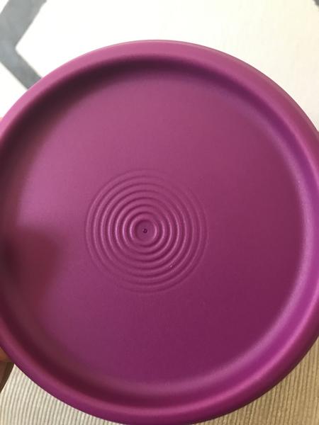 Imagem de Tupperware Instantânea Mágica 1,3 L