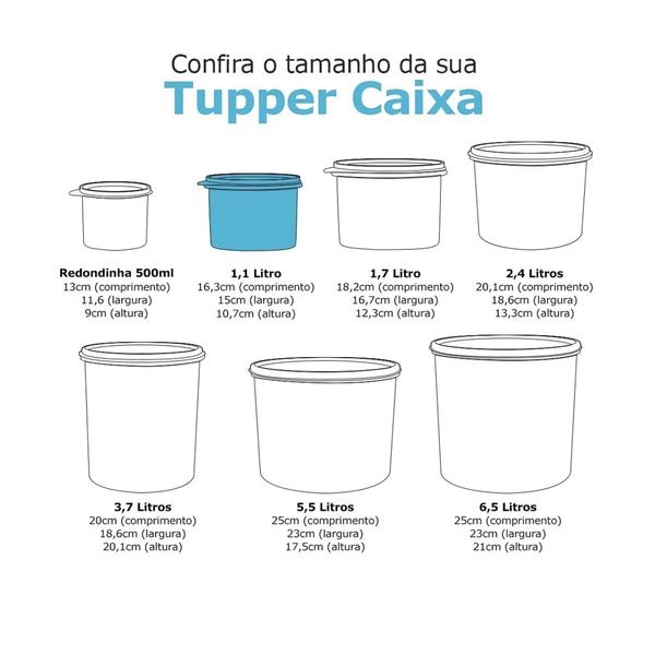 Imagem de Tupperware Tupper Caixa Polvilho 500g Linha Floral 1,1l