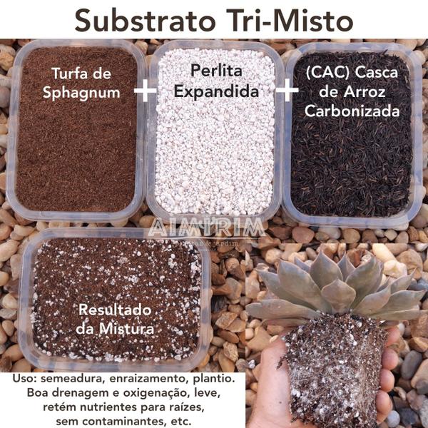 Imagem de Turfa Perlita e Casca de Arroz Carbonizada Substrato Misto enraizar semear suculentas hortaliça tempero grow cultivo geral - 10 Litros