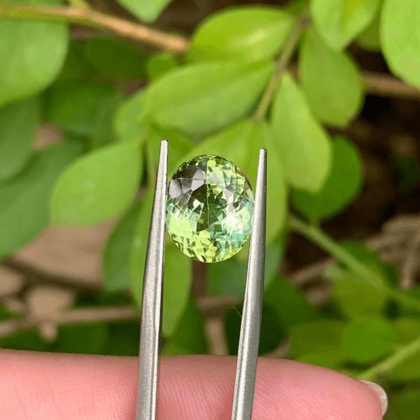 Imagem de Turmalina Verde Amarelado Oval 3,77ct