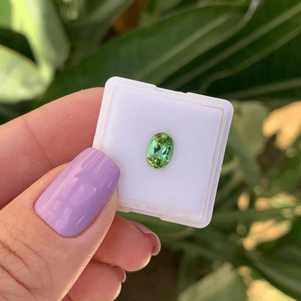 Imagem de Turmalina Verde Oval 1,07ct (1)