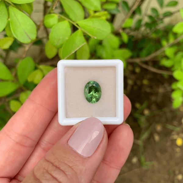 Imagem de Turmalina Verde Oval 2,33ct