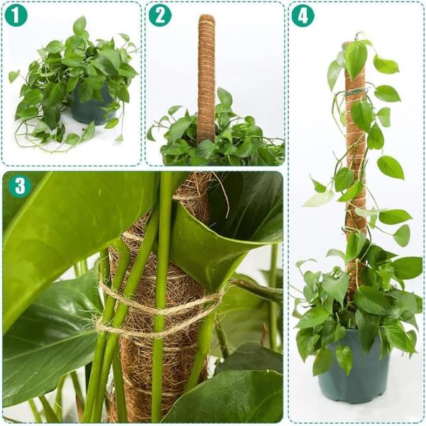 Imagem de Tutor de Plantas de Fibra De Coco Estaca Flexível 100cm