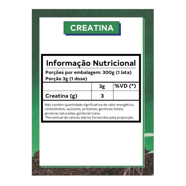 UP Creatina Monohidratada 300g - Dobro Imagem de UP Creatina Monohidratada 300g - Dobro