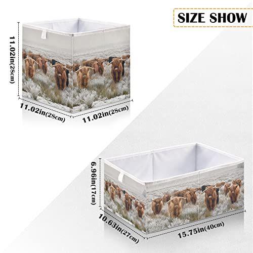 Imagem de Vaca das terras altas escocesas em um inverno natural dobrável Caixas de armazenamento abertas, berçário de brinquedo dobrável Cesta de armazenamento Compartimento de pano Cubo Organizador retangular com alças para prateleiras Closet Home Decor