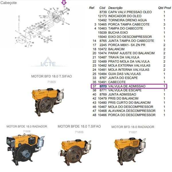 Imagem de Válvula de Admissão Do Motor BFD(E) 18.0cv Termossifão