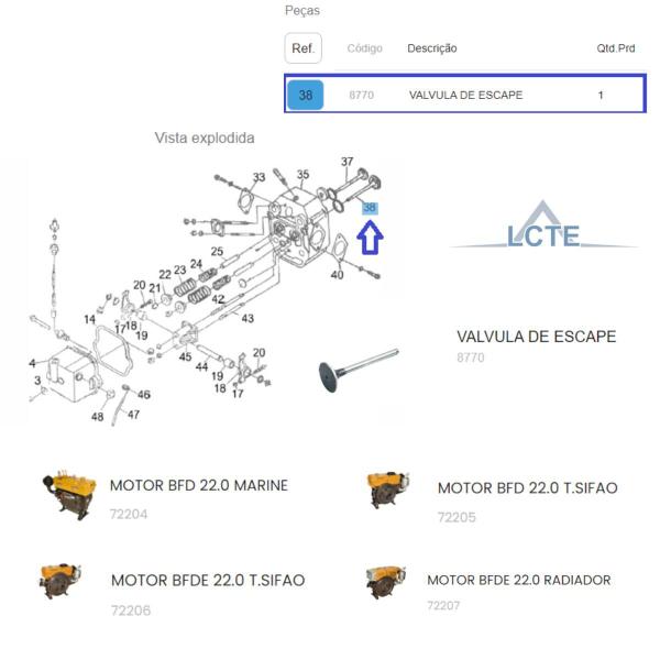 Imagem de Válvula de Escape P/ Motor BFD 22.0 Termossifão Buffalo 8770