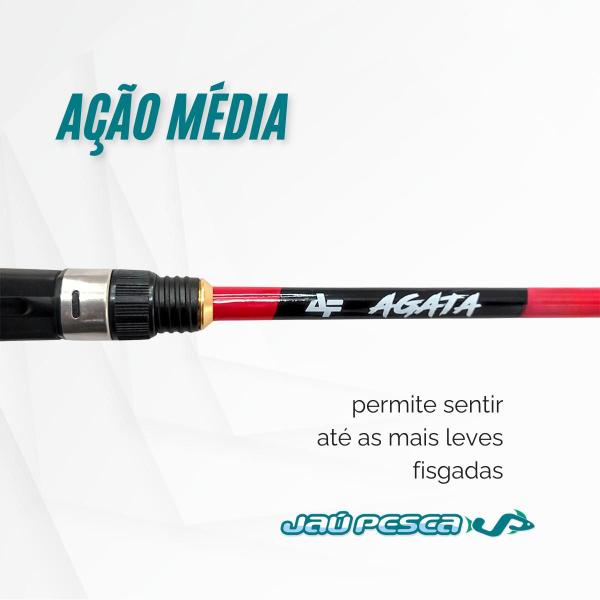 Imagem de Vara Carretilha AGATA 17 lbs 2 Partes Albatroz Fishing