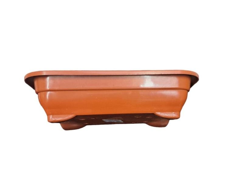 Imagem de Vaso bonsai nutriplan ceramica