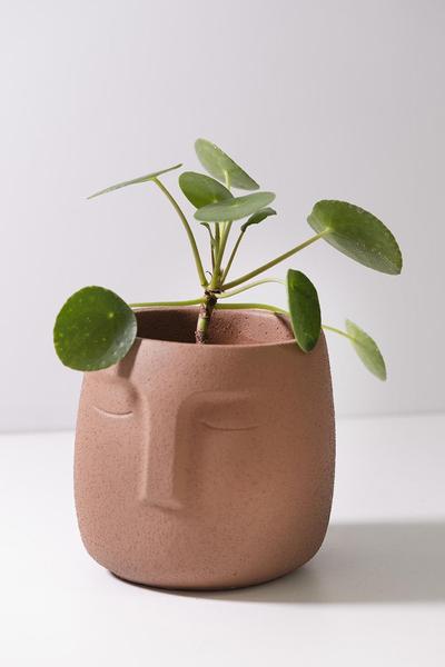 Imagem de Vaso cachepot  rosto terracota - Casa Mind