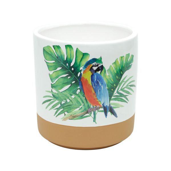 Imagem de Vaso de Cerâmica Parrot Colorido 16,5x17,5 cm Urban