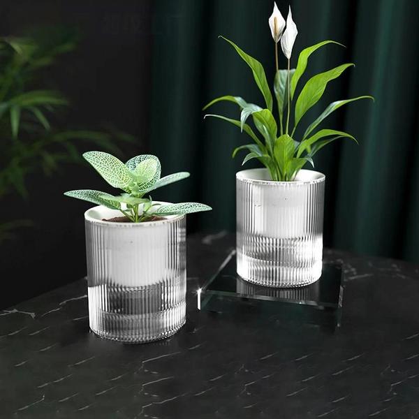 Imagem de Vaso De Flores Hidropônico Com Rega Automática Interna, Mini Plantador Para Suculentas, Tanque De