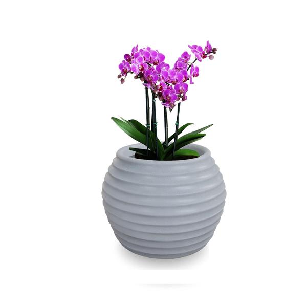 Imagem de Vaso De Planta Flor Redondo Polietileno 15X20 Cm Cinza Claro