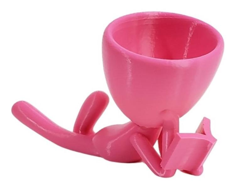 Imagem de Vaso Decor Leitor Estudante Robert Plant Para Suculentas Rosa 15 cm