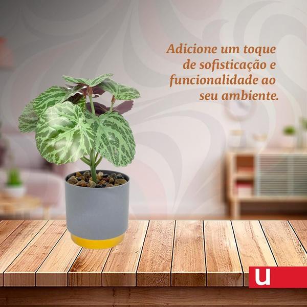 Imagem de Vaso Decorativo com Planta Permanente Arbusto 20x7cm