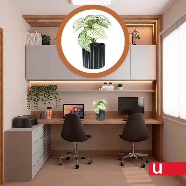 Imagem de Vaso Decorativo com Planta Permanente - Urban 