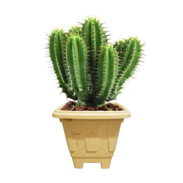 Imagem de Vaso Plantas Decorativo Marmorizado Quadrado 3,5L Amarelo