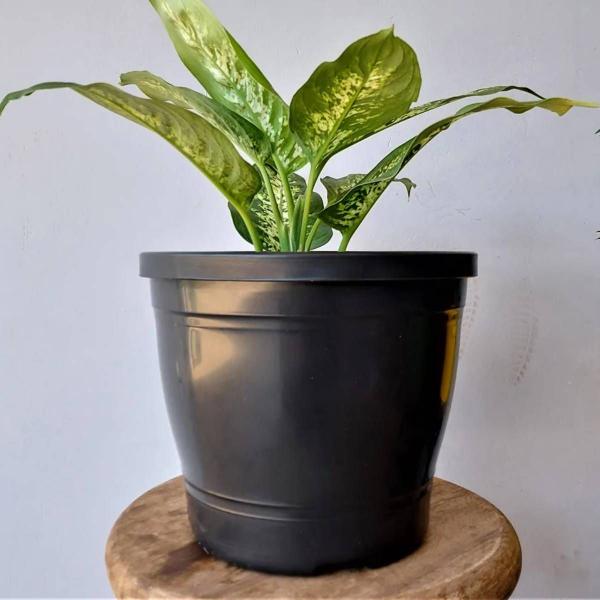 Imagem de Vaso Primavera 05 (8L) Preto NUTRIPLAN