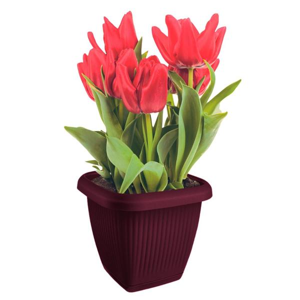 Imagem de Vaso Quadrado Para Plantas Com Prato Decoração Casa Jardim 3,9L