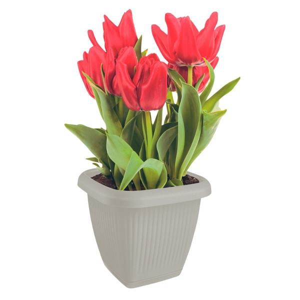 Imagem de Vaso Quadrado Para Plantas Com Prato Decoração Casa Jardim 3,9L