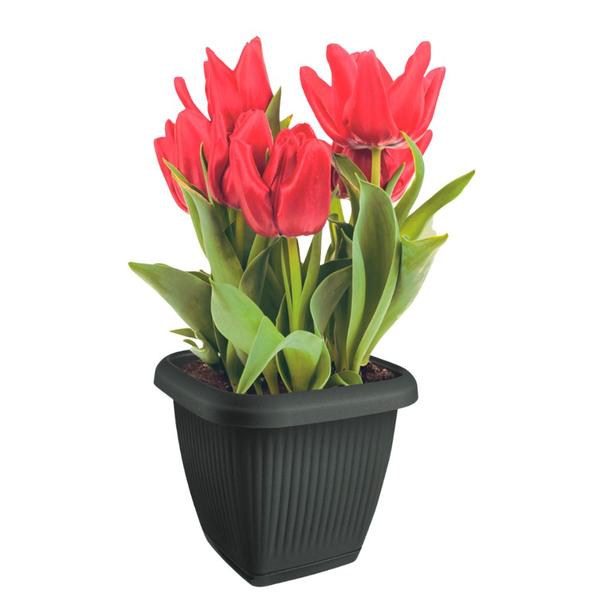 Imagem de Vaso Quadrado Para Plantas Com Prato Decoração Casa Jardim 3,9L