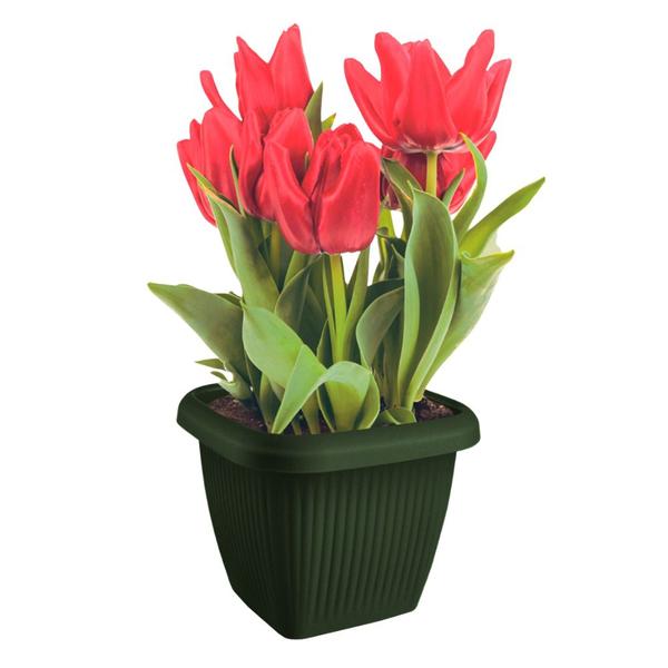 Imagem de Vaso Quadrado Para Plantas Flores Decoração Casa Jardim 9,6L