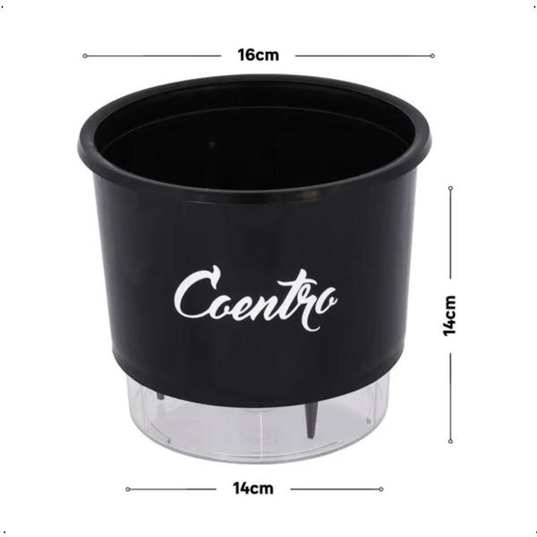 Imagem de Vaso Raiz Auto Irrigável Gourmet 16cm Autoirrigável Temperos