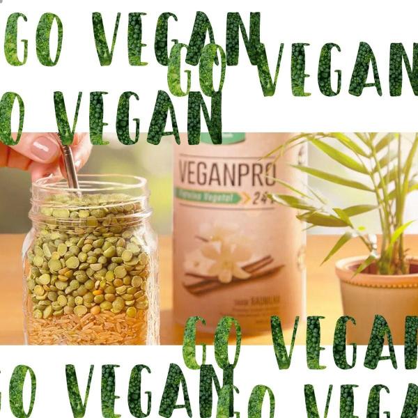 Imagem de Vegan Pro Proteina Vegetal Isolada 450g Nutrify