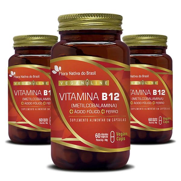 Imagem de Vegan Vitamina B12 + Ferro + Ácido Fólico Kit 3x 60 Vegano Capsulas Cada - Flora Nativa