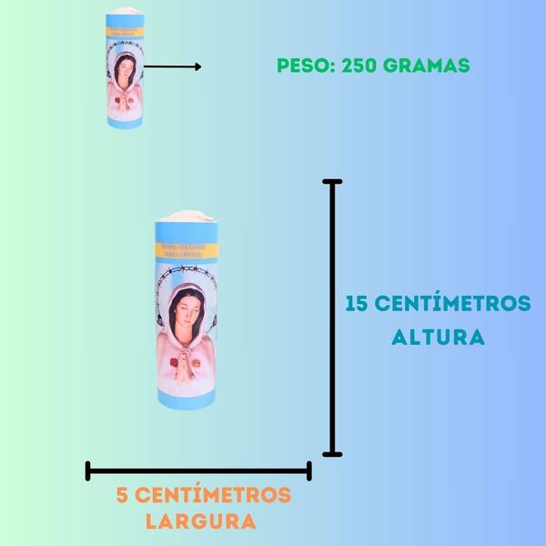 Vela 7 dias votiva Nossa Senhora Rosa Mística azul 2 unidade - OS ARCANJOS Imagem de Vela 7 dias votiva Nossa Senhora Rosa Mística azul 2 unidade