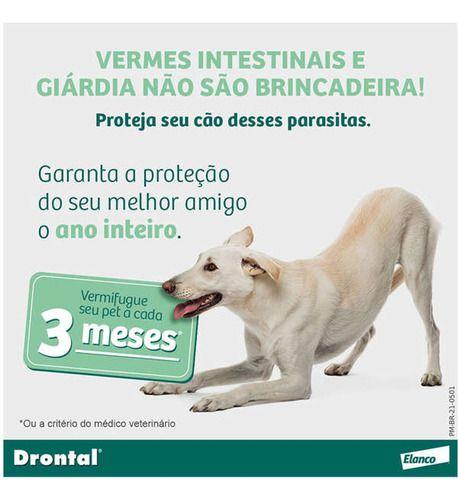 Imagem de Vermífugo Bayer Drontal Plus Sabor Carne Cães Até 10kg C/4cp