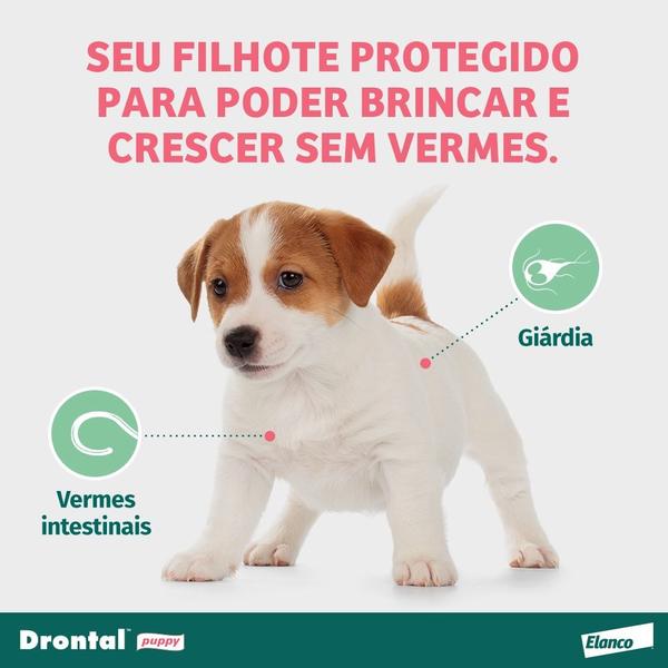 Imagem de Vermífugo Elanco Drontal Puppy 20 Ml Para Cães Filhotes