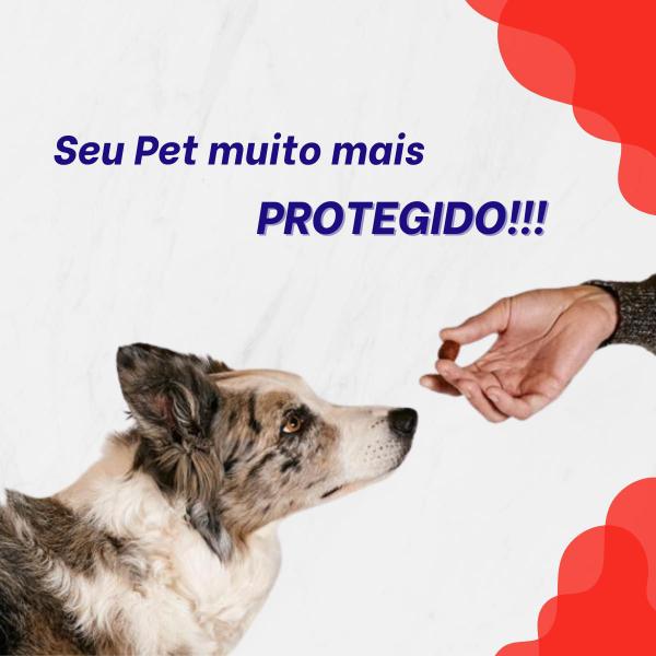 Imagem de Vermífugo Endogard Eficaz Tratamento Contra Giárdia Para Cães Até 10kg C/ 6 Comp Virbac