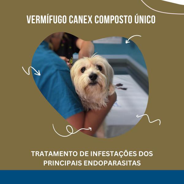 Imagem de Vermifugo oral para cães canex composto tratamento contra vermes 4 comprimidos ceva