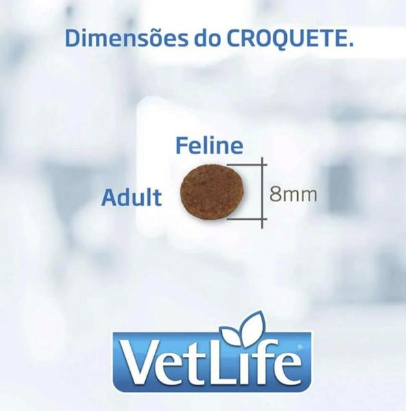 Imagem de Vet Life Urinary Struvite para Gatos Adultos de Todas as Raças 2Kg