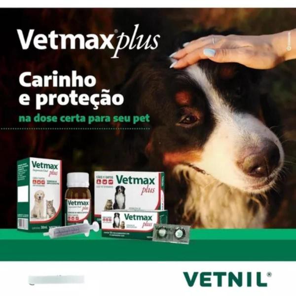 Imagem de Vetmax Plus Vermicida P/Cães e Gatos Cartela C/4 Comprimidos