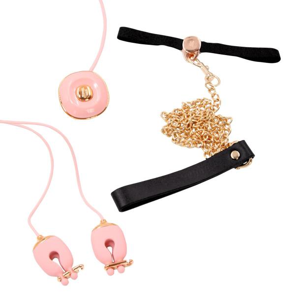 Vibrador de mamilo com controle - Diamani Imagem de Vibrador de mamilo com controle