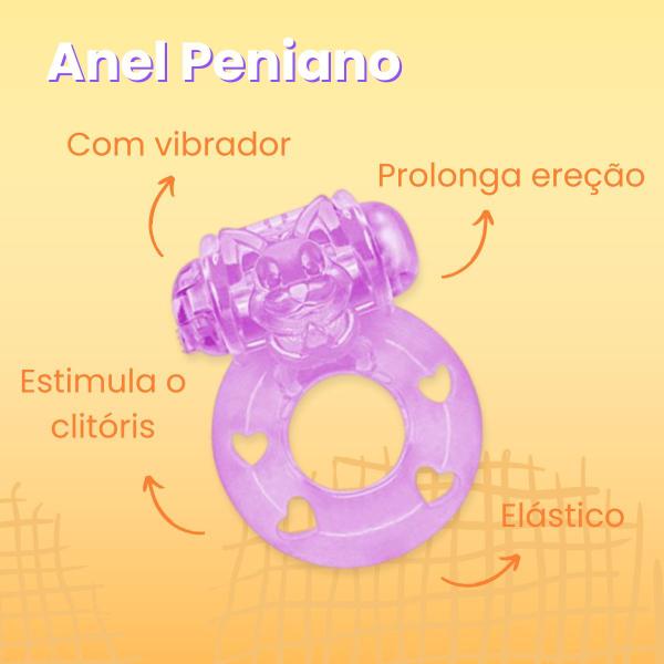 Imagem de Vibrador Feminino Golfinho Ponto G Anel Peniano Lubrificante