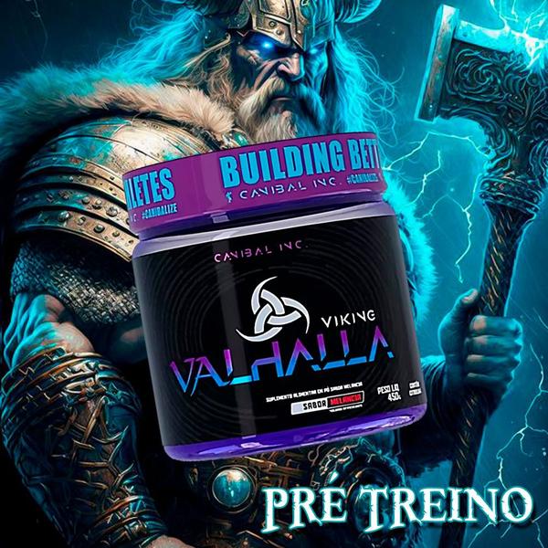 Imagem de Viking Valhalla 450g PréTreino