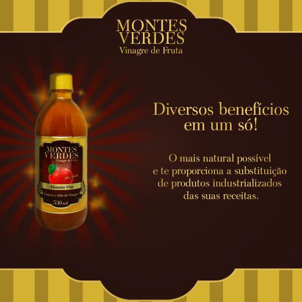 Imagem de Vinagre de Fruta Maçã Orgânico 530ml - Montes Verdes