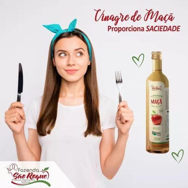 Imagem de Vinagre De Maçã (100% Orgânico) (4,2% de Acidez) - Fazenda São Roque 250ML