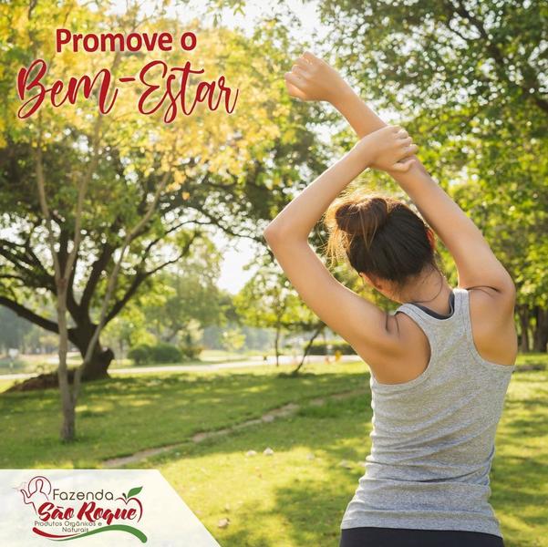 Vinagre de Maçã Orgânico Fazenda São Roque - 500ml Imagem de Vinagre de Maçã Orgânico Fazenda São Roque - 500ml