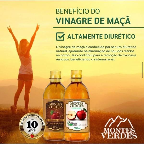 Imagem de Vinagre de Maçã Vivo 100% Natural - Montes Verdes 530ml