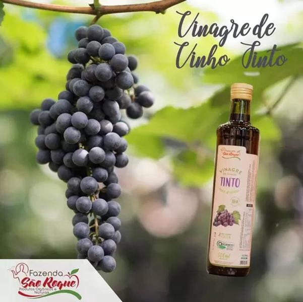 Imagem de Vinagre de Uva Orgânico (Vinho Tinto) São roque 500ml